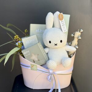 Baby Hampers